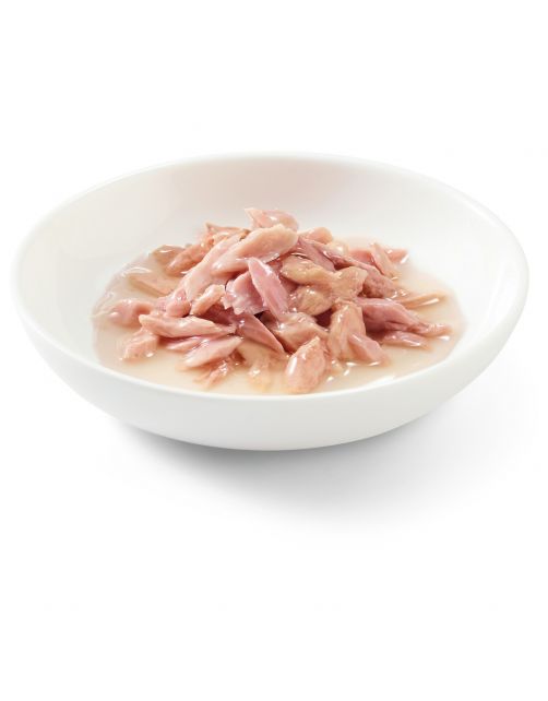 Schesir Kat Bouillon 70 g - Kattenvoer