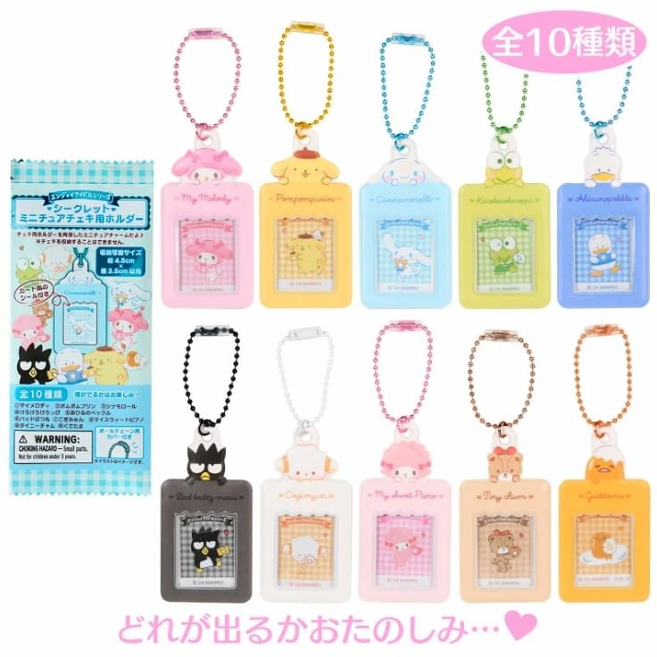 Sanrio - Sanrio Character Secret Miniature Card Holder Sleutelhanger Type B (10 Types) (Blind Box)