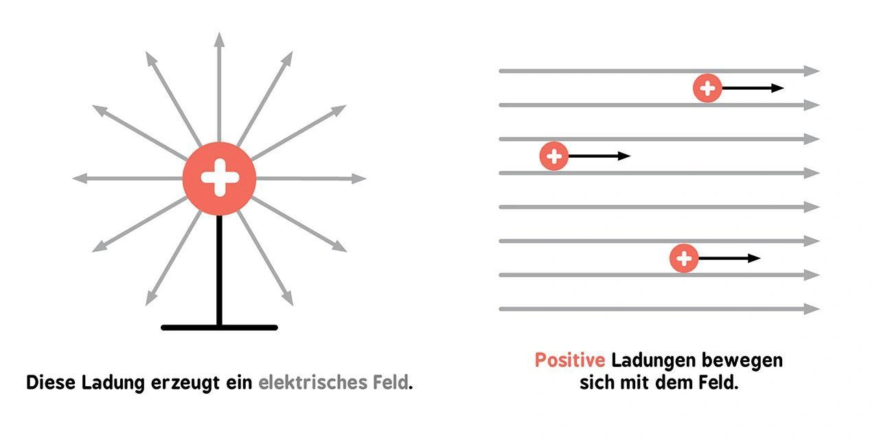 Baby-Universität - Elektromagnetismus für Babys