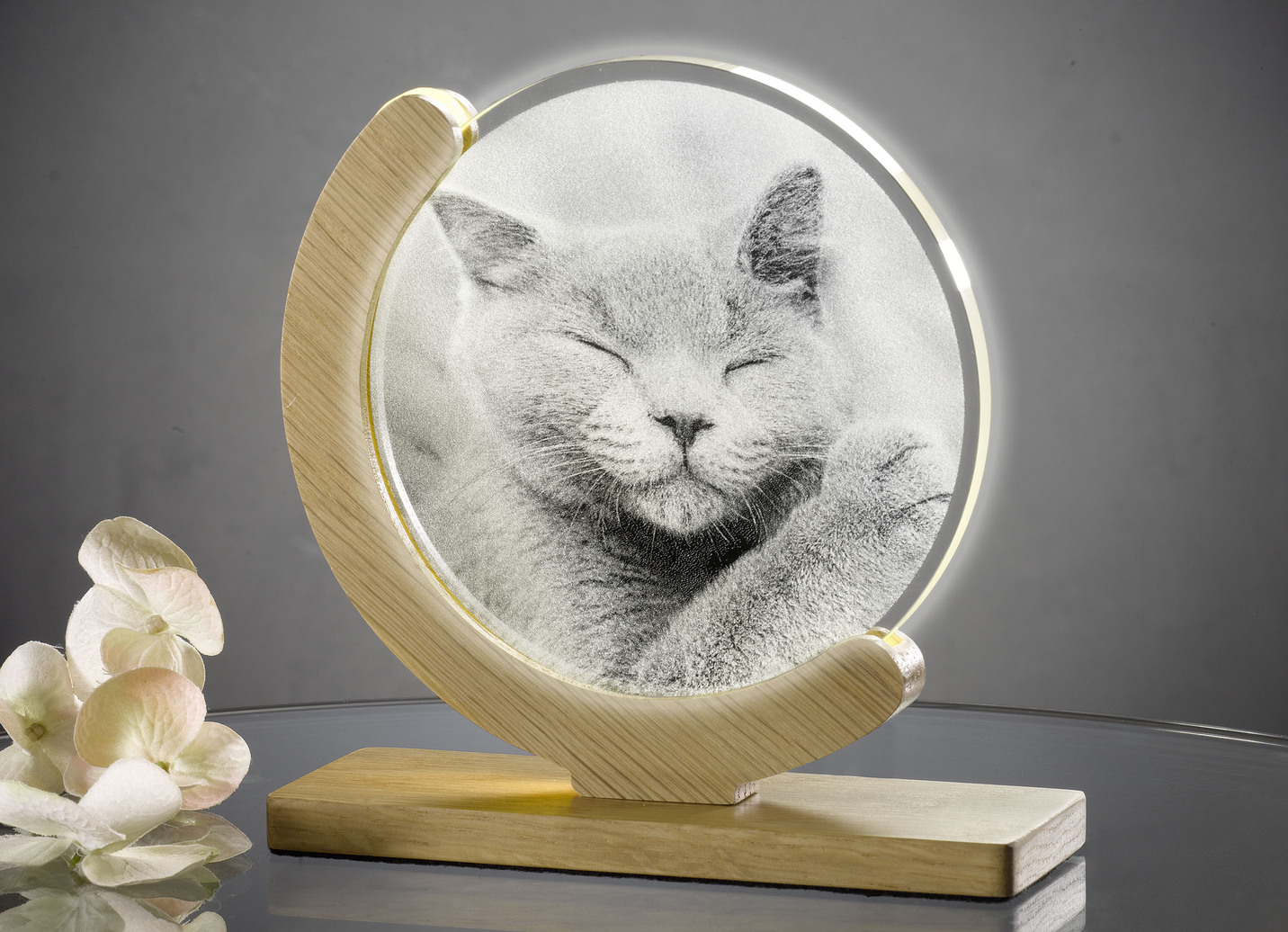 Dimmbare LED-Tischleuchte mit Katzen-Motiv