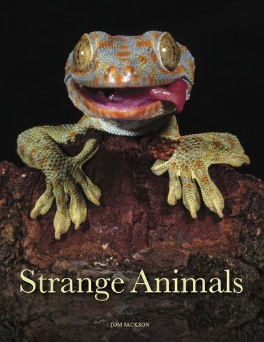 Strange Animals - Animals (Hardback)