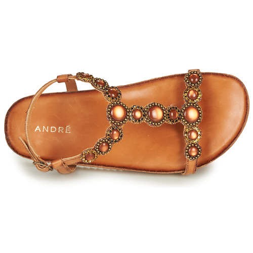 André - ETHEL - Camel