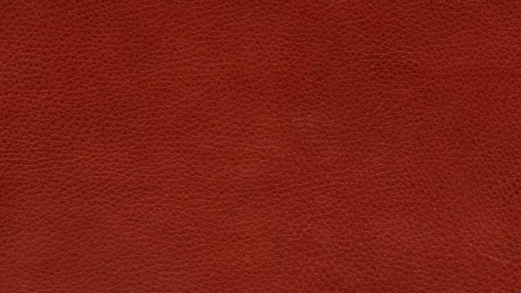 Sofa Experio - Free Motion