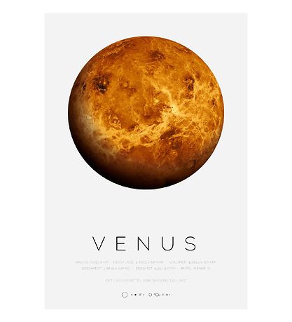 Citatplakat Poster - A3 - Venus