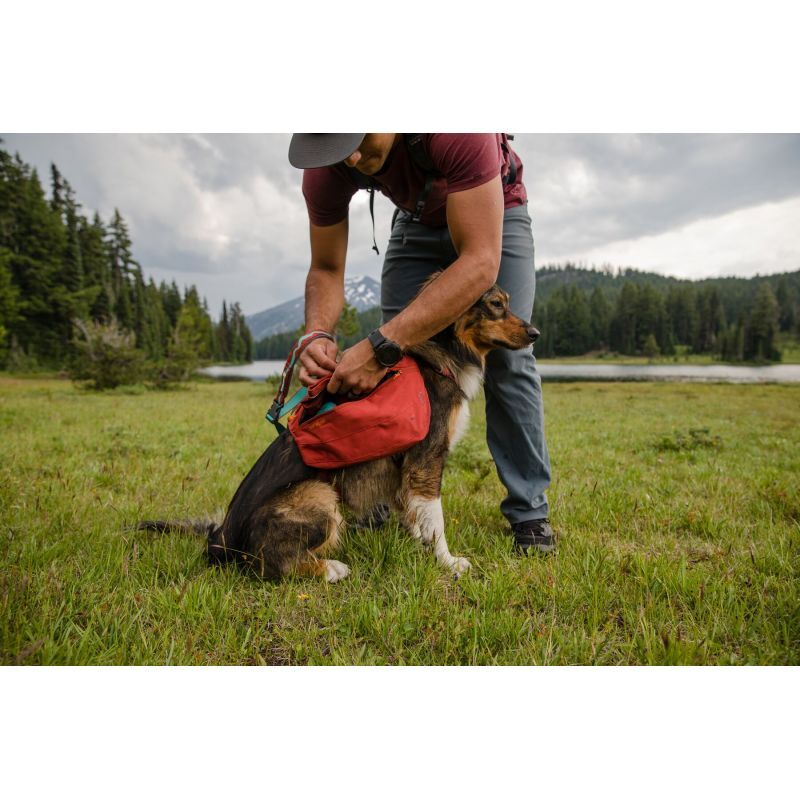 Front Range Day Pack - Sac à dos pour chien randonnée