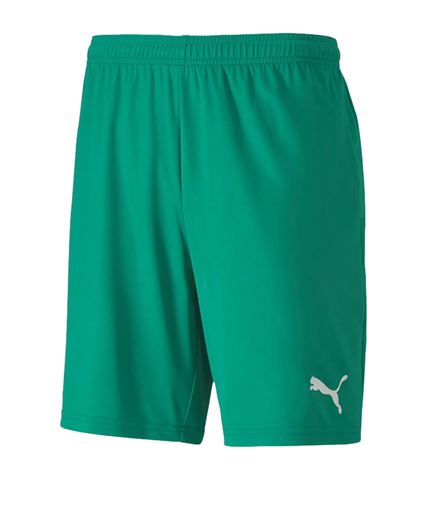 PUMA teamGOAL 23 Knit Short Grün F05