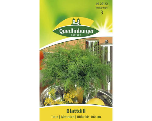 Dille 'Mammoth' Quedlinburg Kruidenzaden