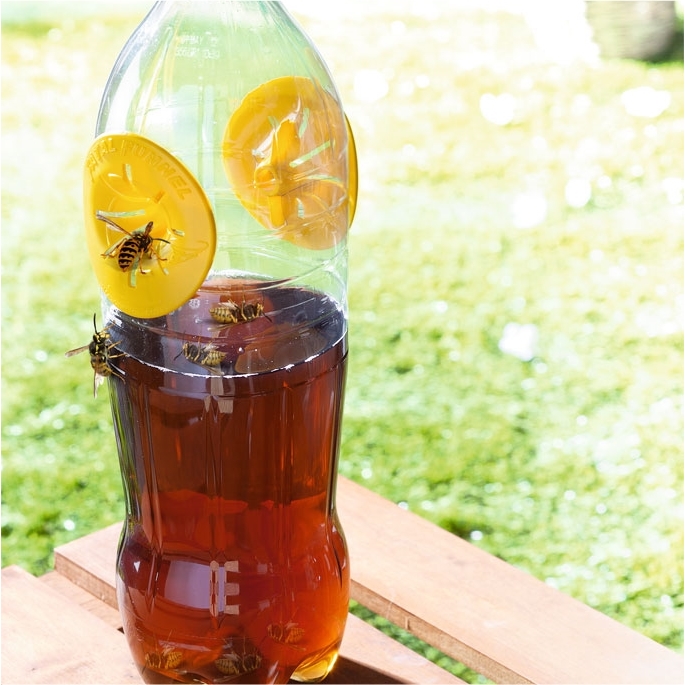 Lot de 6 pièges à guêpes pour bouteilles