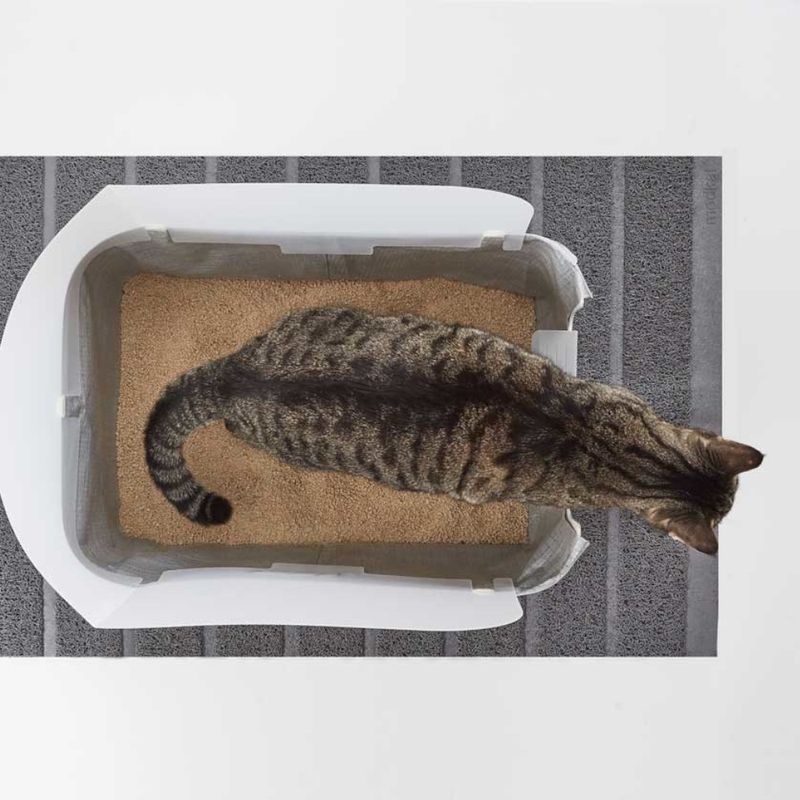 Maison de toilette Modkat Tray
