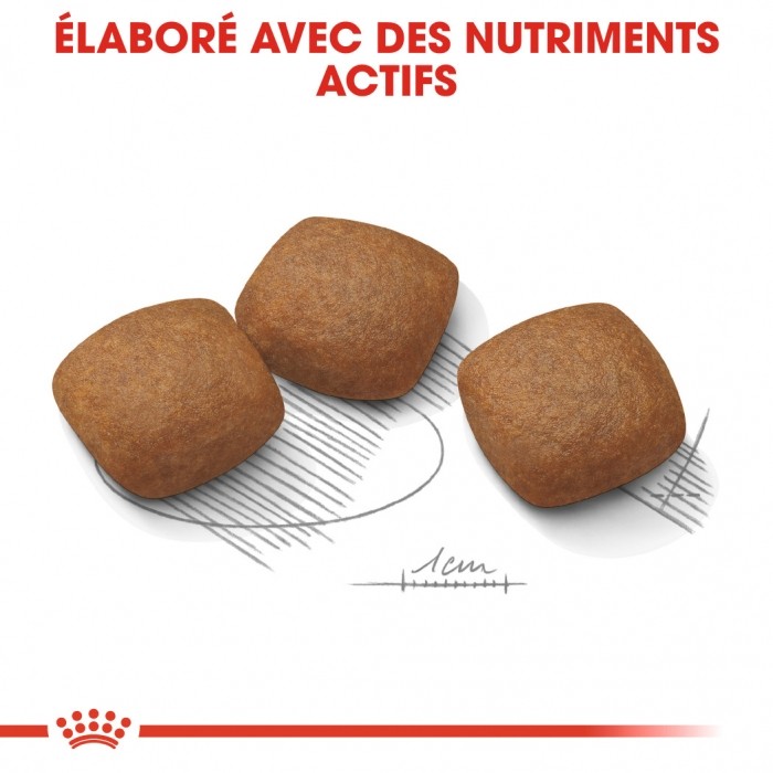 Royal Canin Maxi Joint Care - Croquettes pour chien