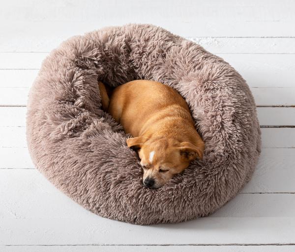 Dehner Lieblinge Kuschelbett Cookie, rund