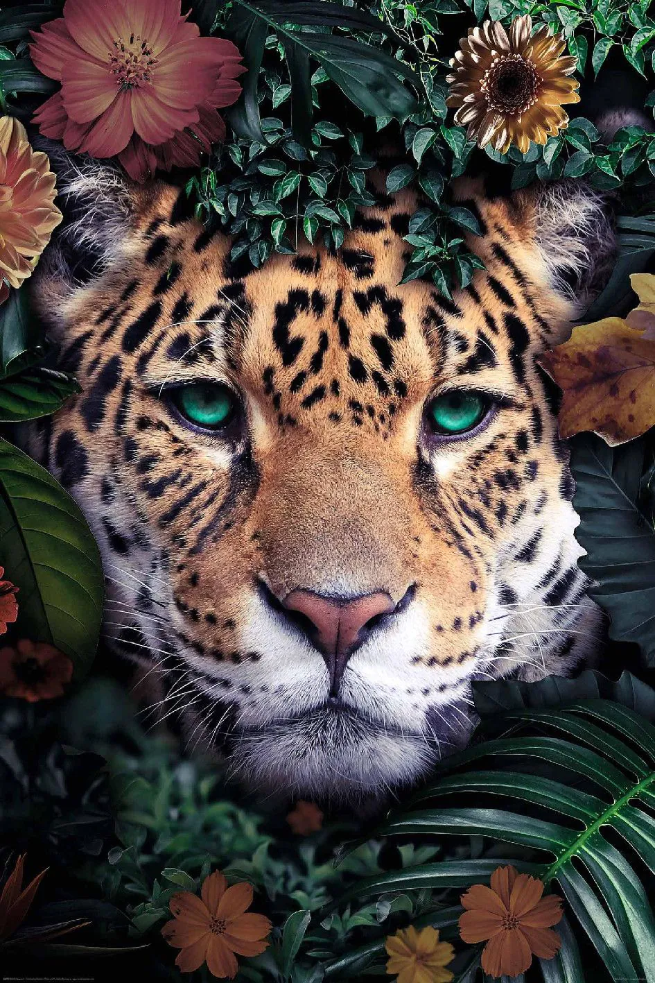 Poster Leopard, Blumen, 61 x 91 cm