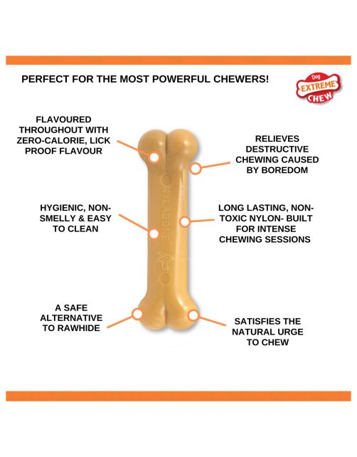 Nylabone Durable Bone Bacon Bacon - Hondenspeelgoed