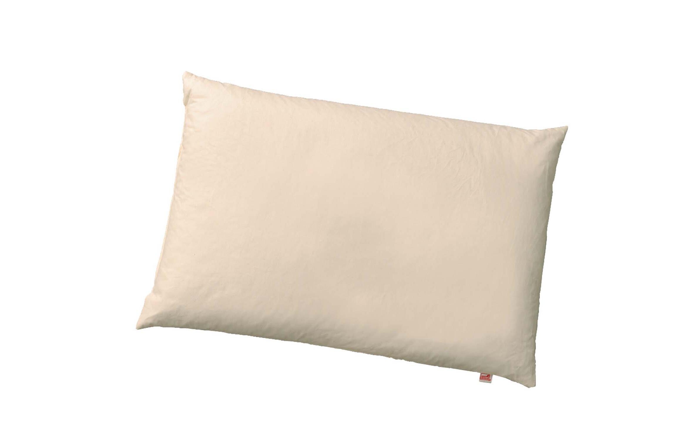 Dinkelspreukissen Palea 60 x 40 cmSchlafkissen mit Dinkel Füllung