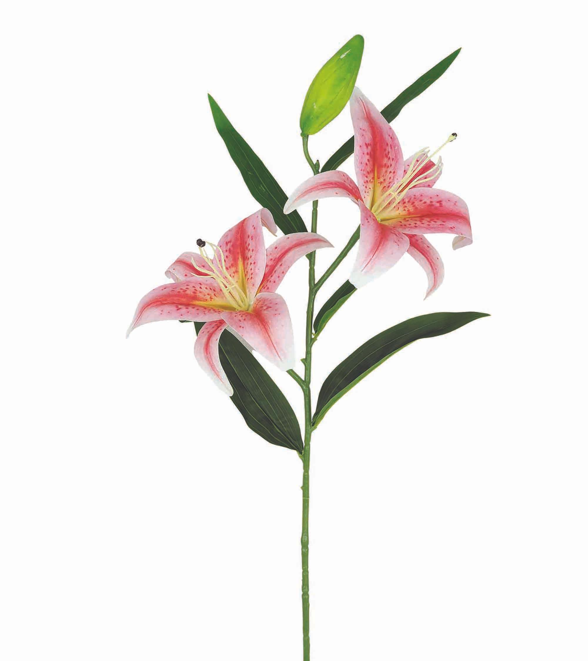 TIGE LYS 2 FLEURS ET 1 BOURGEON H.77CM ROSE