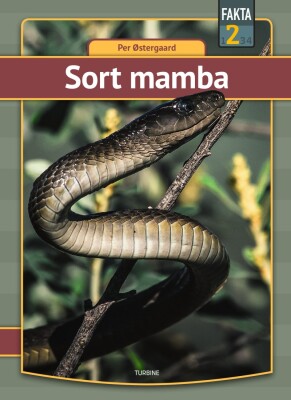 Sort Mamba - Per Østergaard - Bog