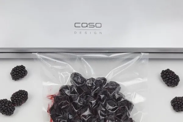 Caso | Bar Vacuum Sealer | GourmetVAC 480 | Effekt 160 W | Sølv