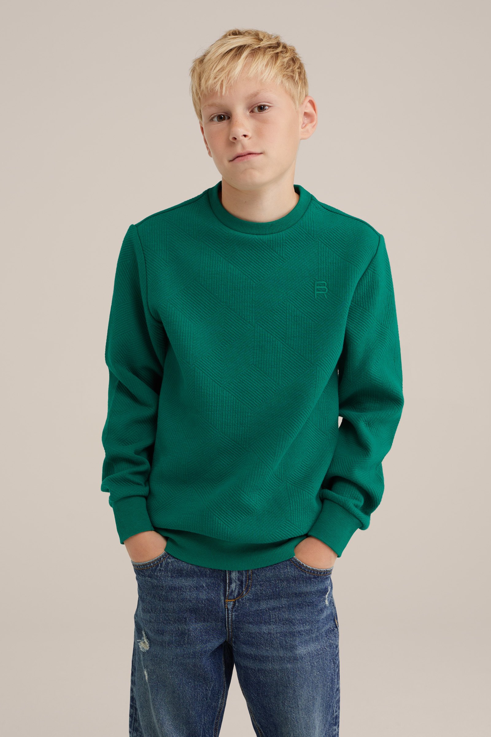 Jongens sweater met structuur Blue Ridge Felgroen