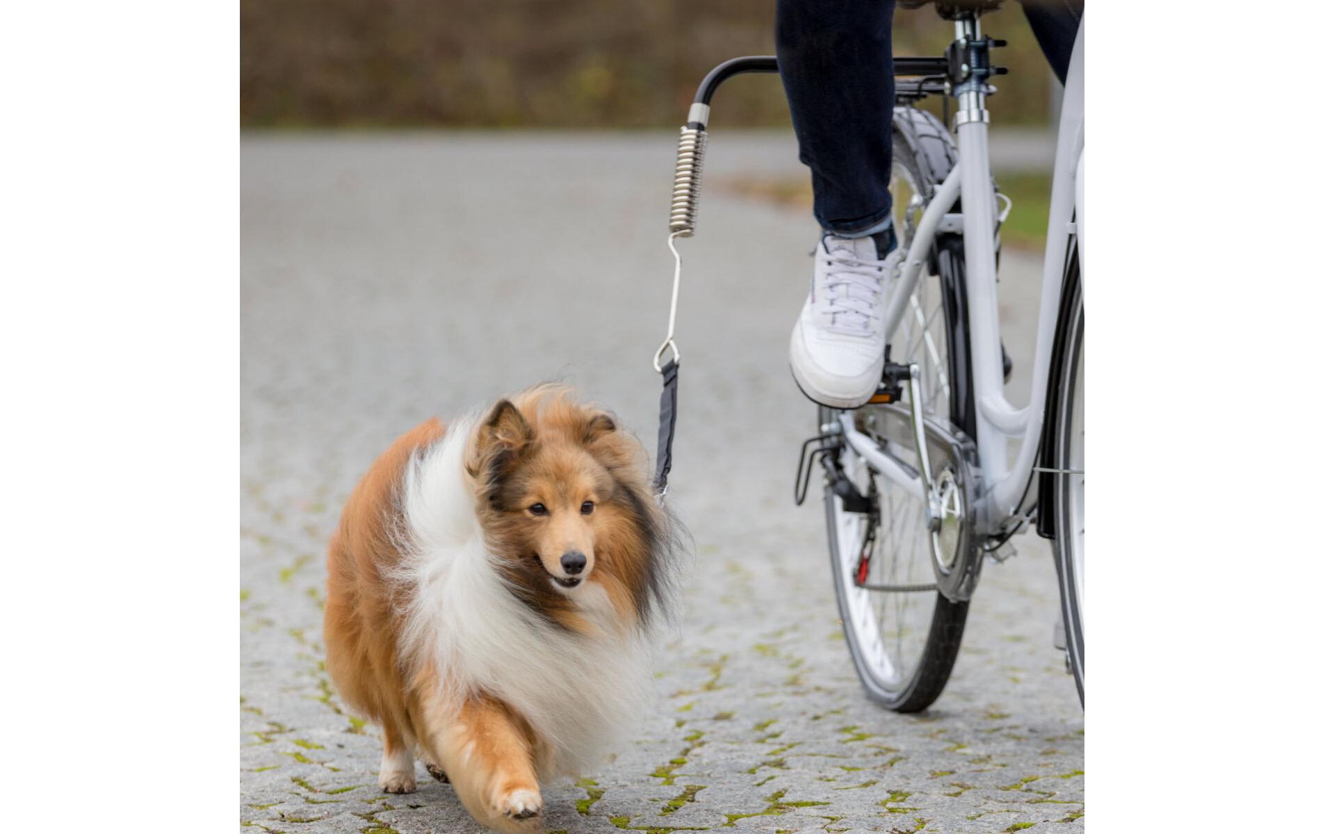 Biker-Set Friends on Tour S – MMit Abstandhalter für ein sicheres Führen am Fahrrad
