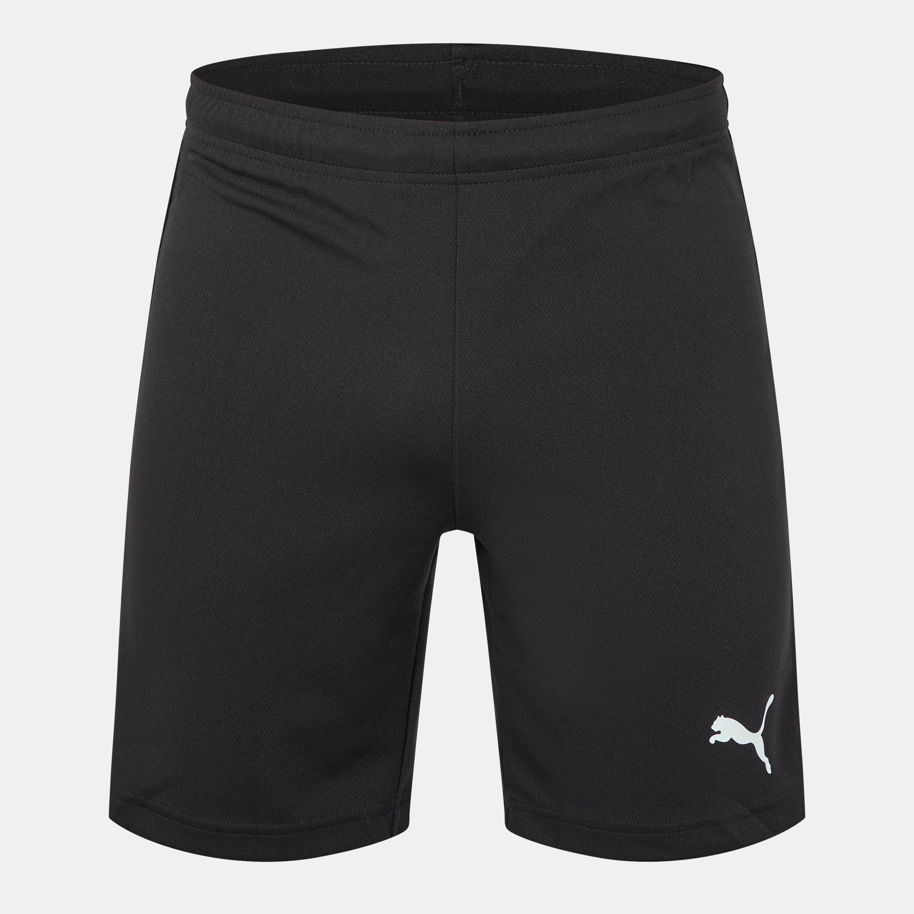 Puma teamRISE Short