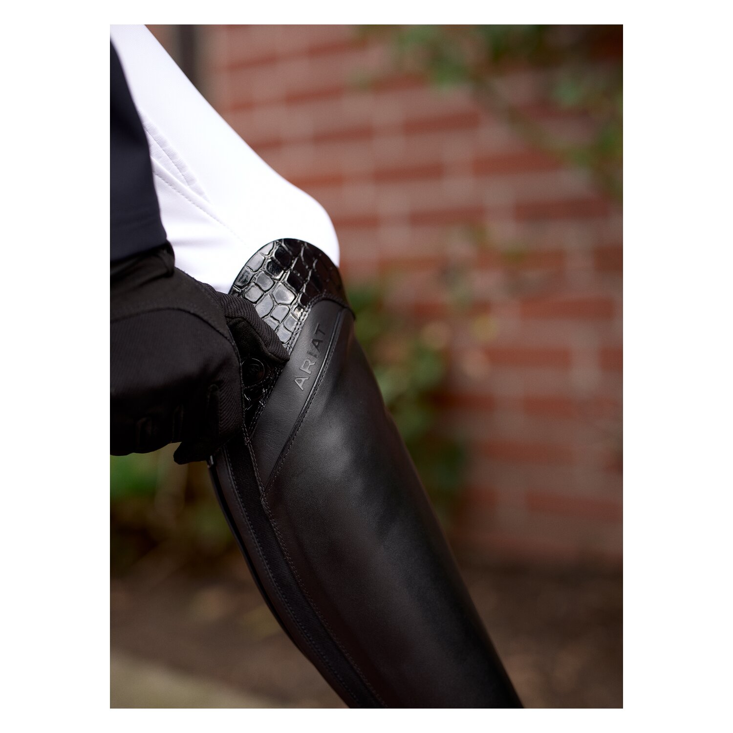 ARIAT Reitstiefel Palisade Show  - black/croco