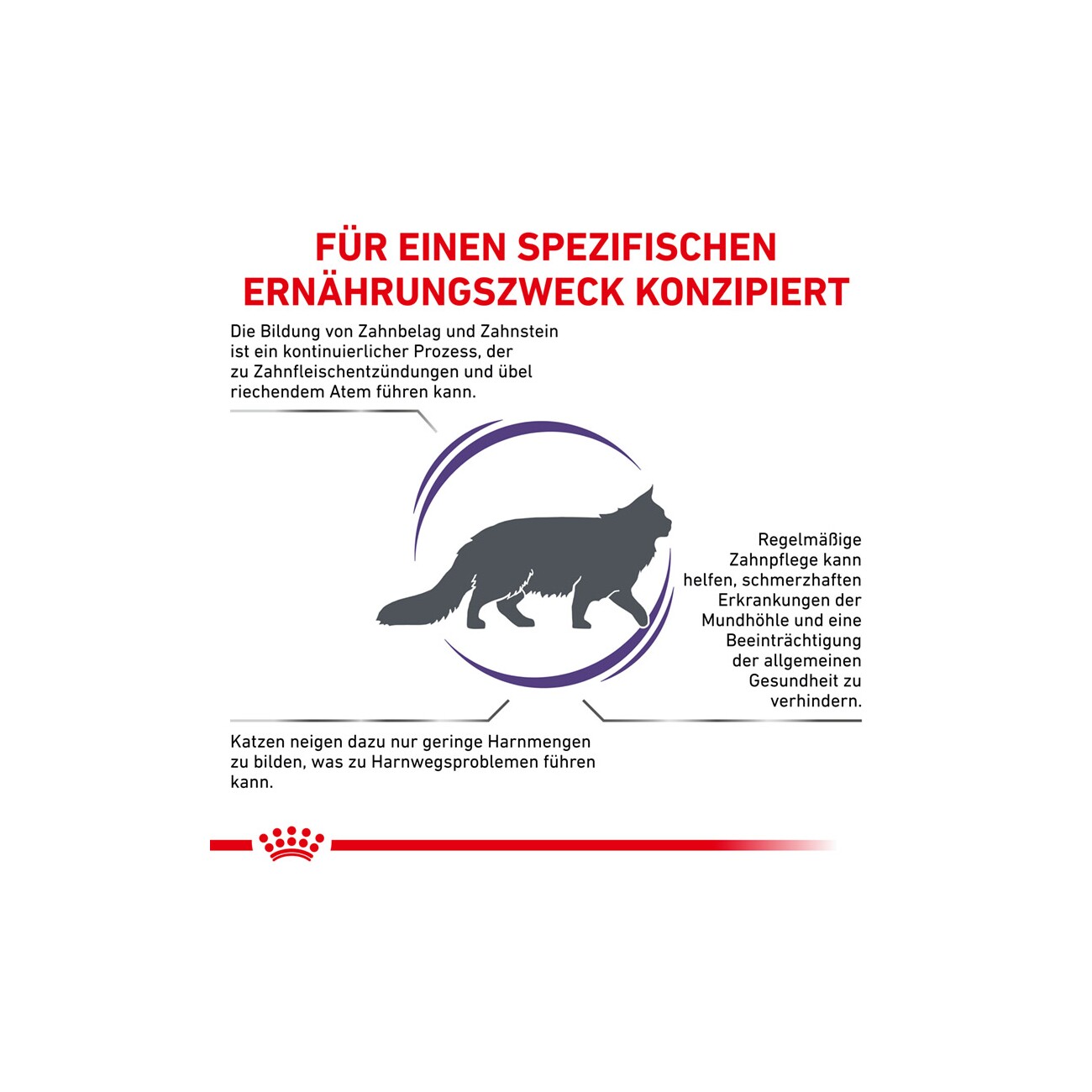 ROYAL CANIN Expert Dental 1,5 kg