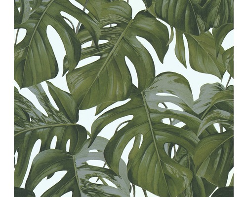 Vliesbehang 36519-3 Michalsky 3 - Dream Again Monstera bladeren