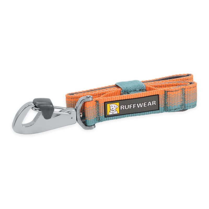 Front Range Short Leash - Laisse pour chien