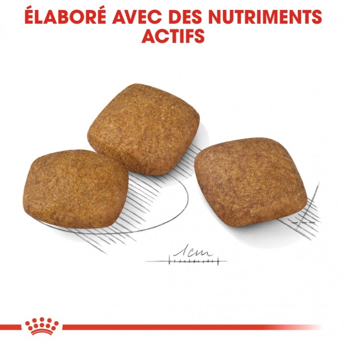 Royal Canin Maxi Relax Care - Croquettes pour chien