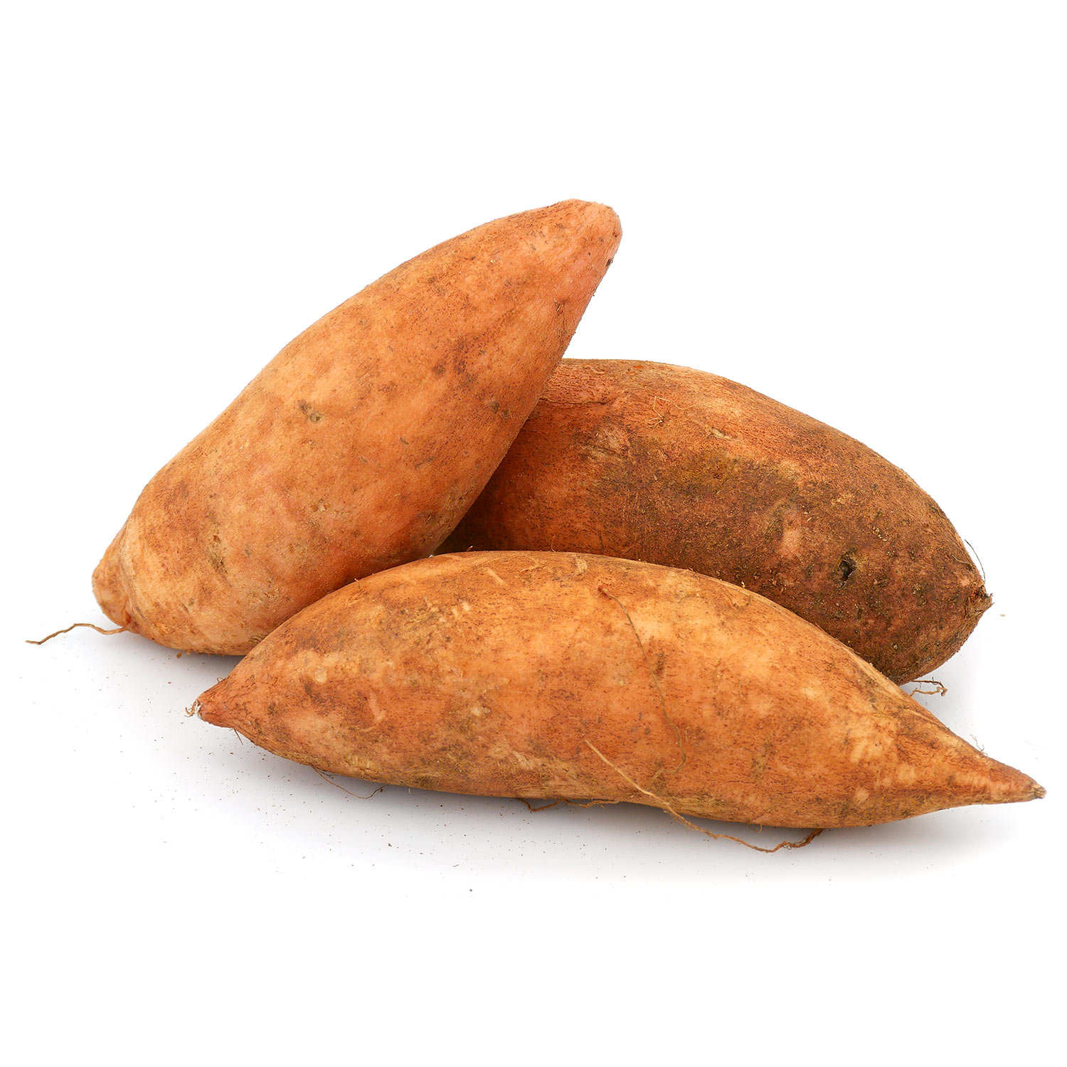 Patate douce bio variété Beauregard