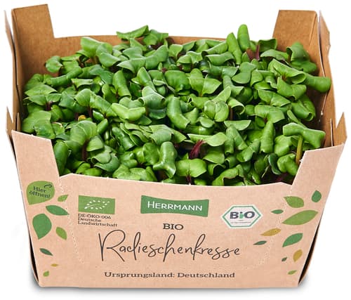 Bio Radieschenkresse, Schale