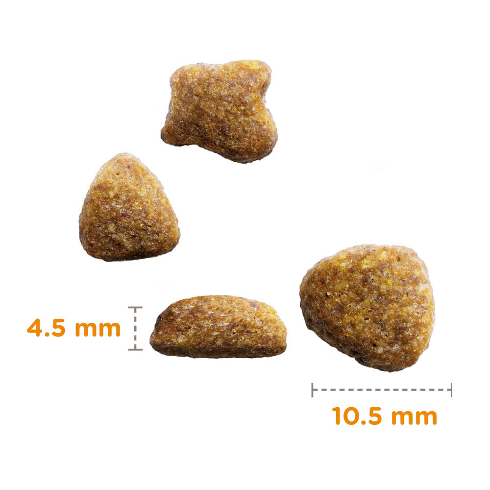 IAMS Adult - Kattenvoer - 10 Kilogram - vis