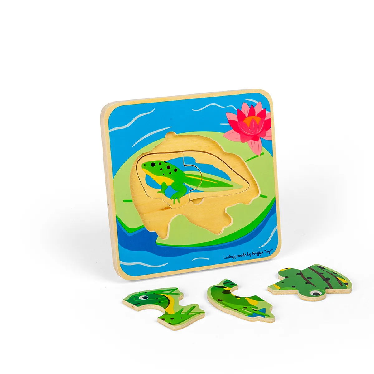 Puzzle Cycle de Vie Bigjigs Toys Grenouille