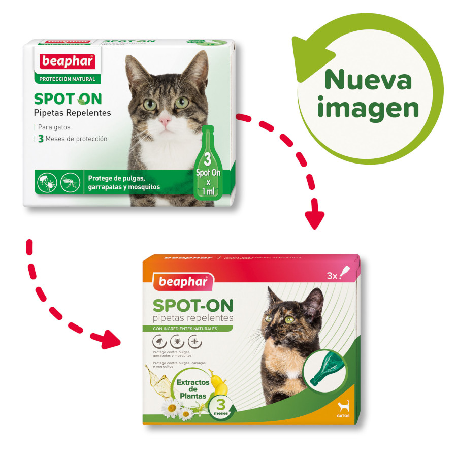 Pipetas repelentes para gatos Beaphar