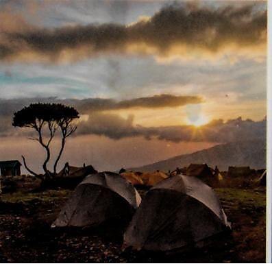 CICERONE - TREEKING KILIMANJARO