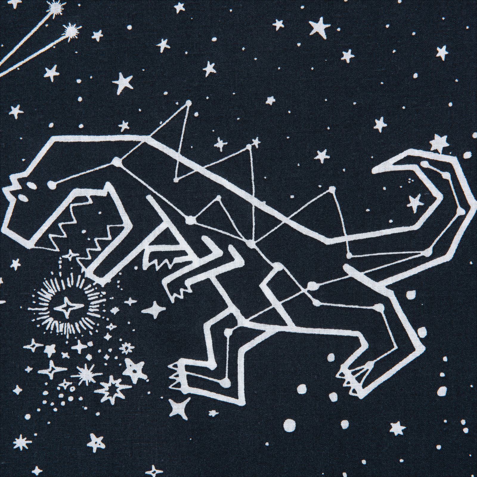 Bettwäsche Space Dinos