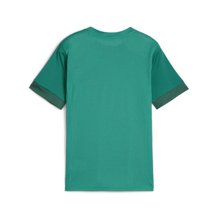 PUMA T-shirt d'Entraînement teamGOAL - Vert/Blanc Enfant