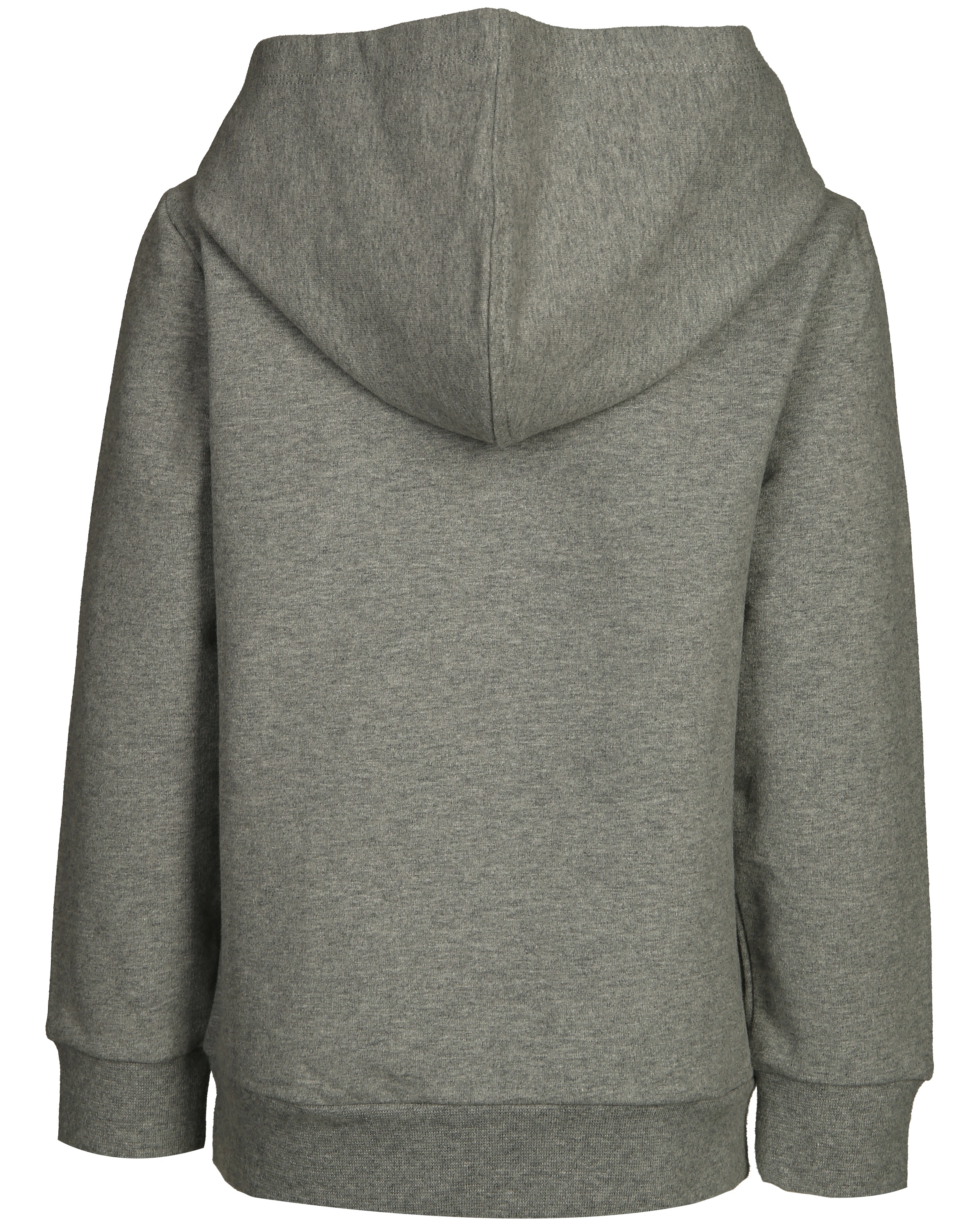 Kapuzen-Sweatshirt PEGASUS in grau