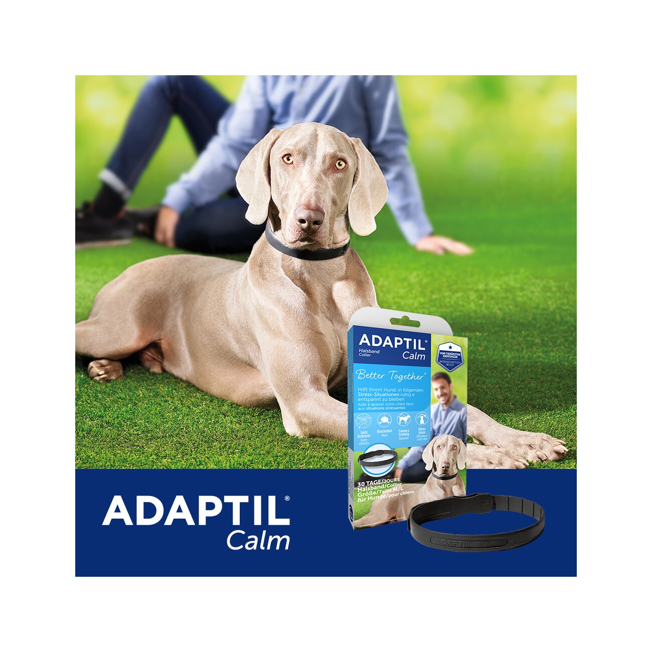 ADAPTIL Calm Halsband Anti Stress Erziehungshalsband M-L