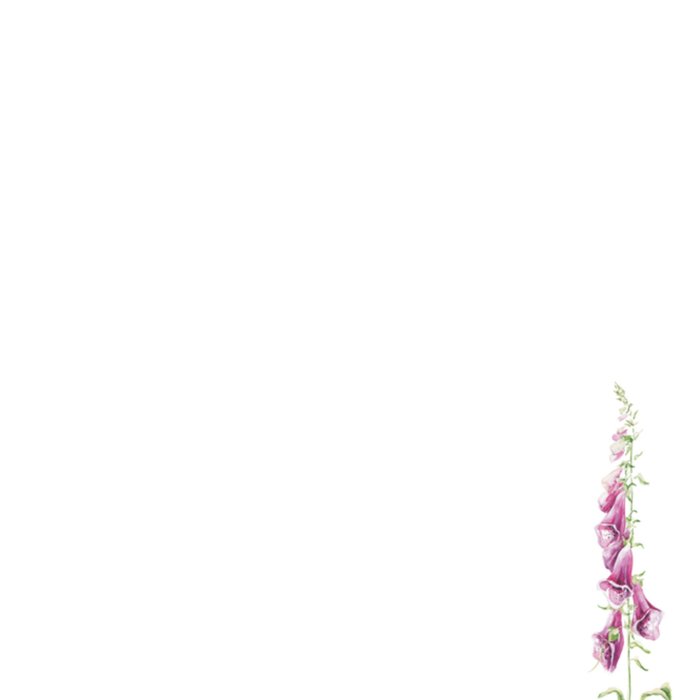 Janneke Brinkman | Sterkte kaart | bloemen
