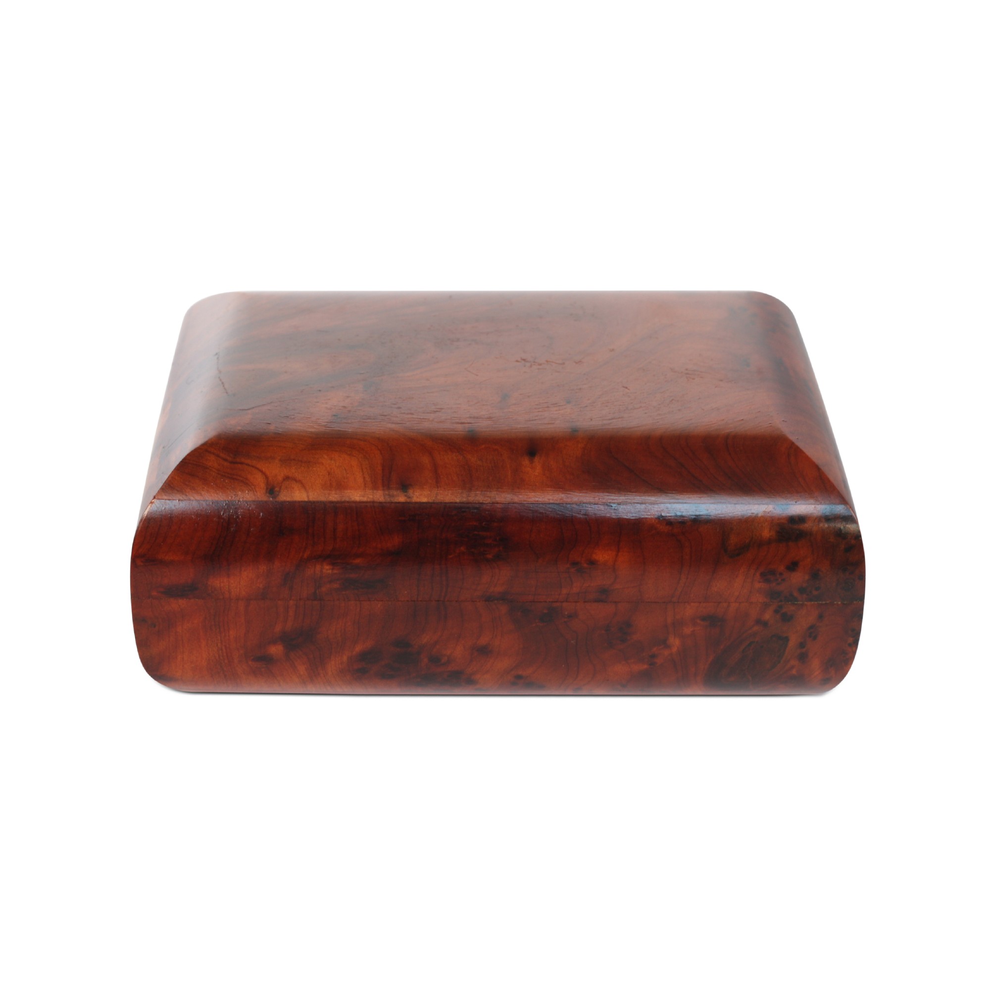Thuja Box von fischer's lagerhaus