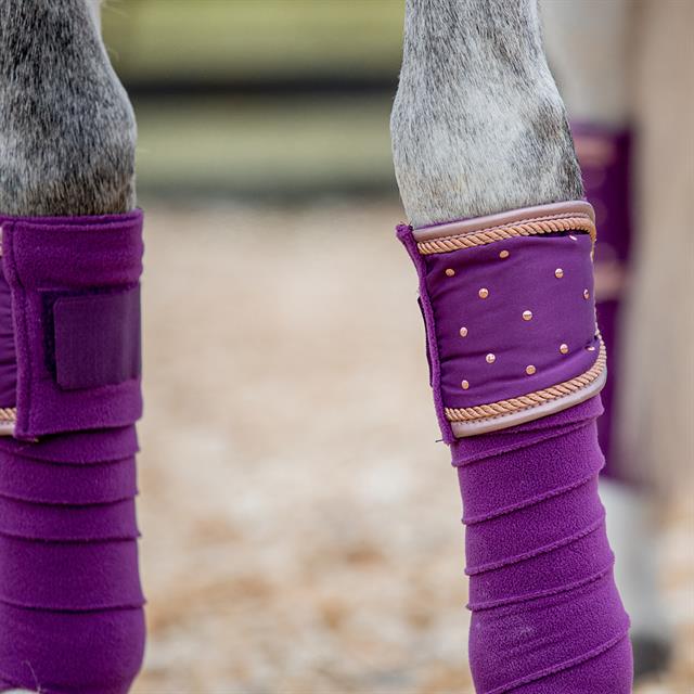 Bandages HORSEGEAR HGAurum Paars