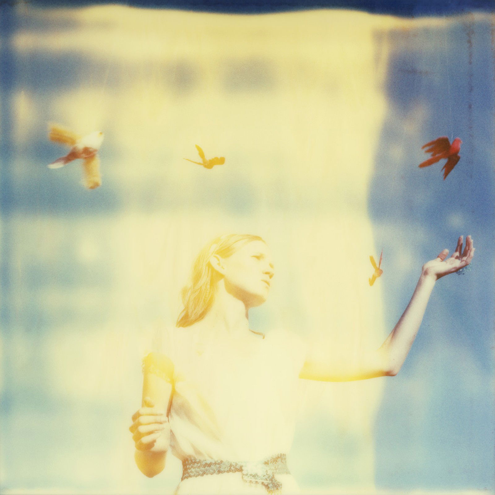 Enchantment by Stefanie Schneider - Limited Edition. Edition of: 150. Signed.