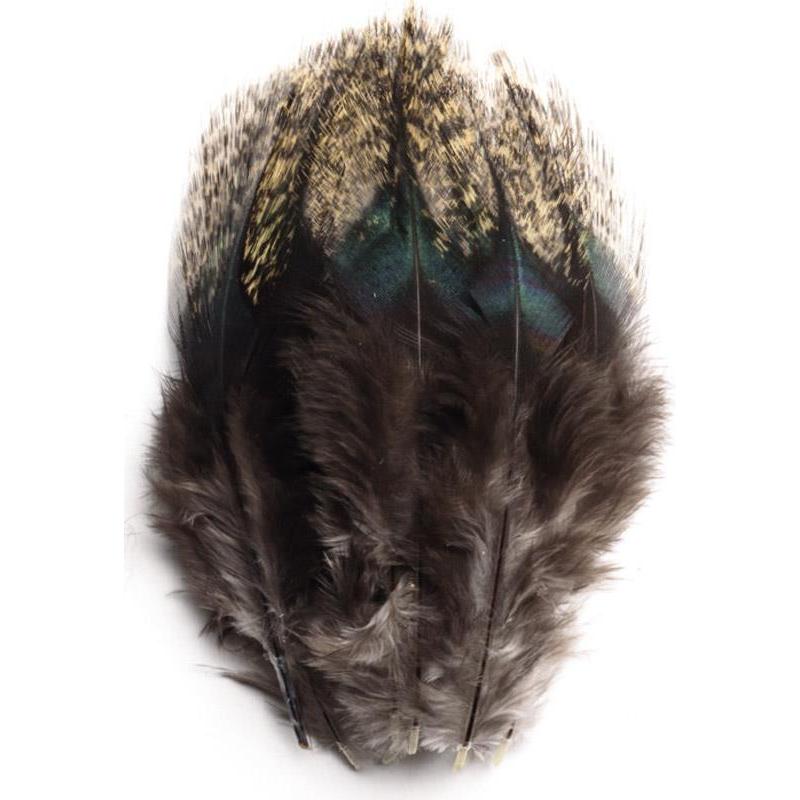 Plumes De Coq Pardo Devaux