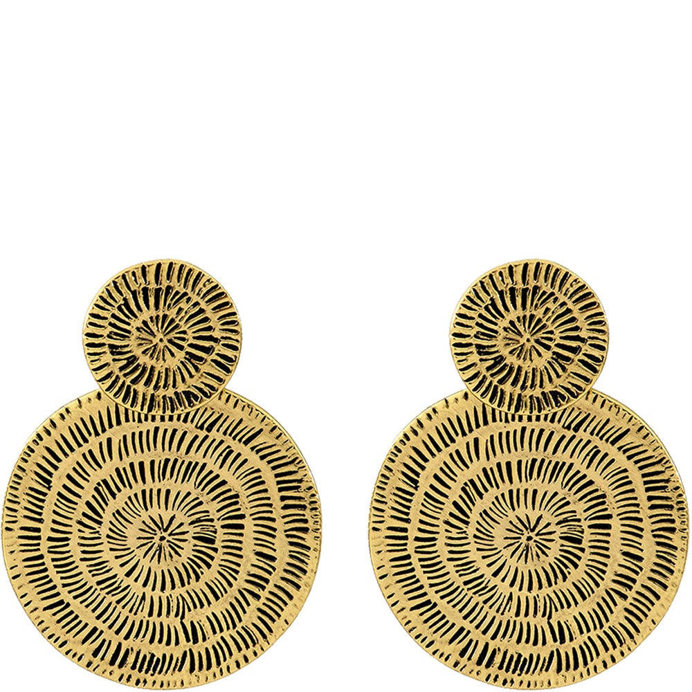 Boucles d'oreilles Arizona - Métal doré