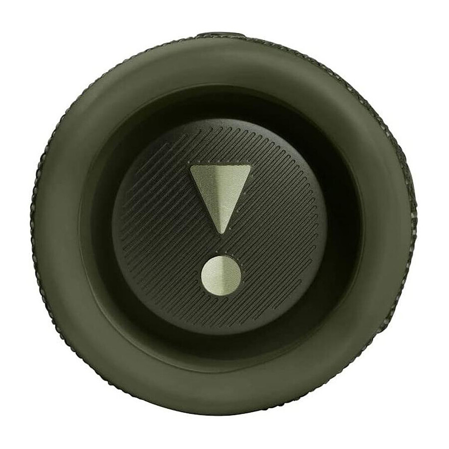 JBL Flip 6 Vert - Enceinte portable