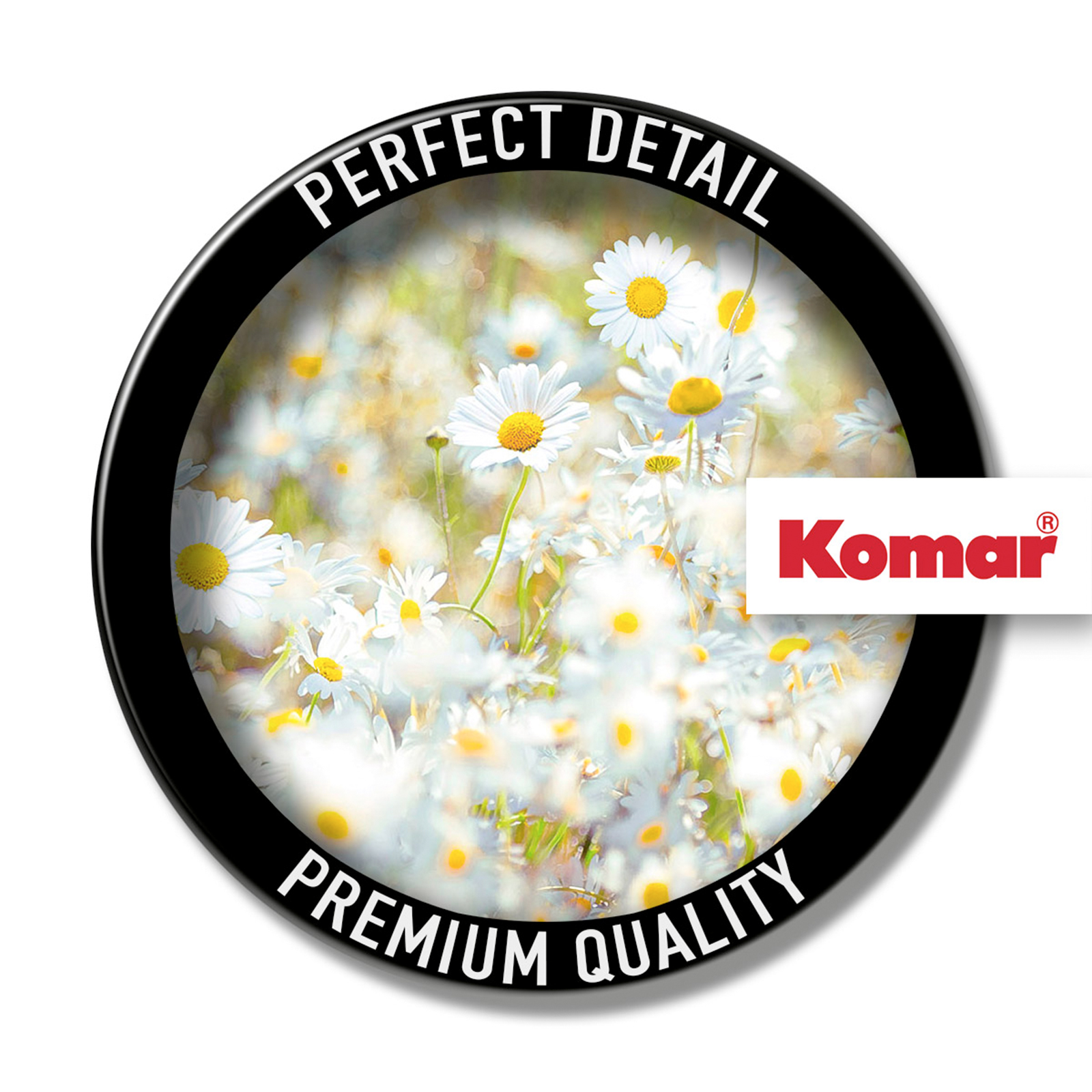Papier-Fototapete DAISIES - weiß-grün - 3,68 Meter