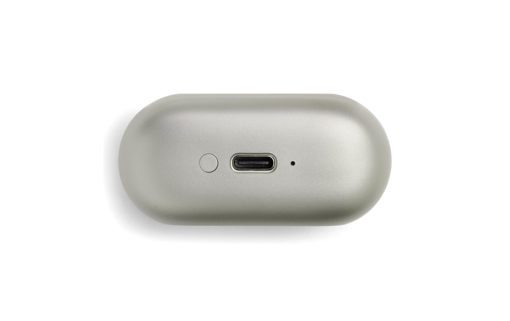 JBL Lautsprecher »Pro 2 Champagner« Stereo (Bluetooth Mikrofon | Sprachsteuerung )