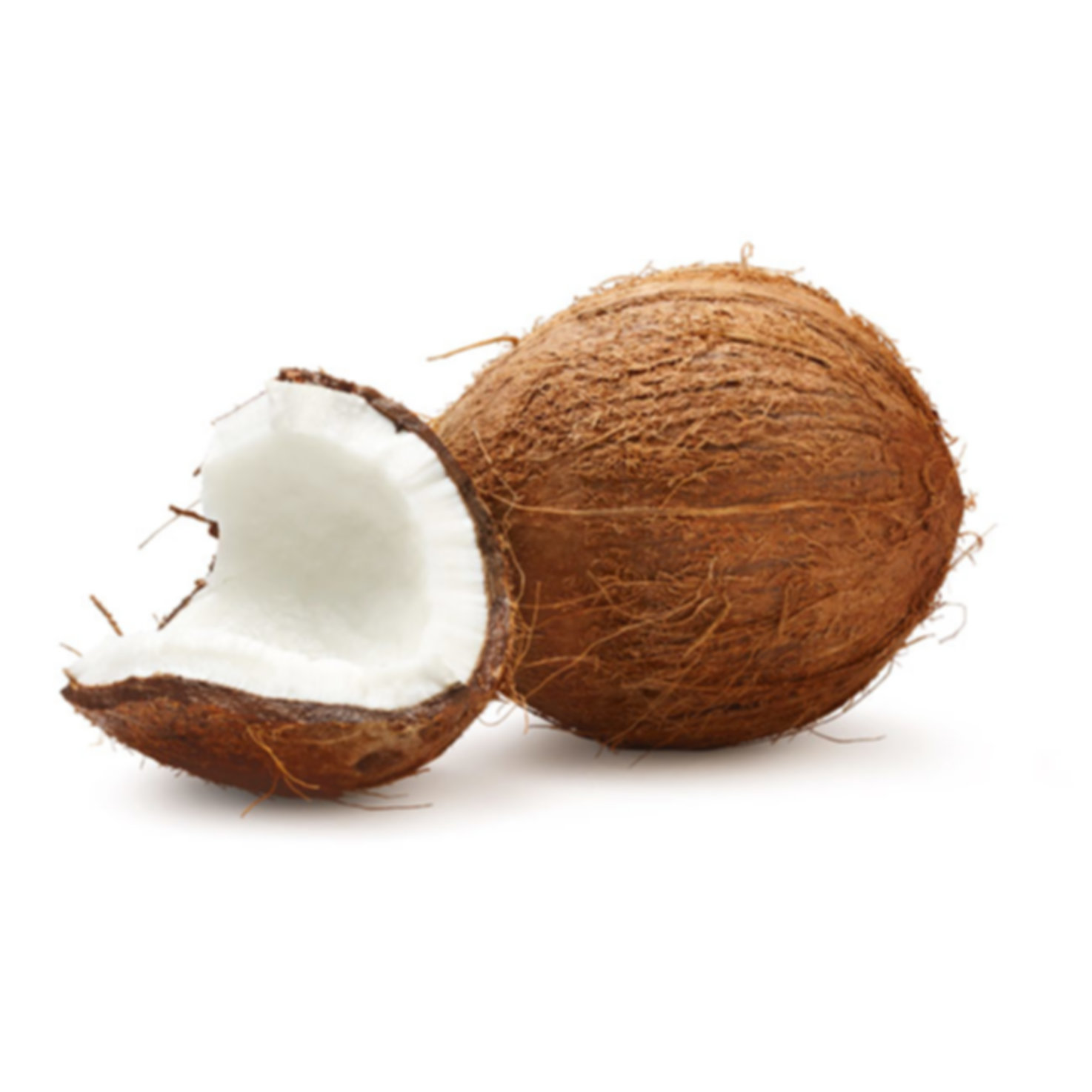 Fairtrade Kokosnuss 1 Stück -