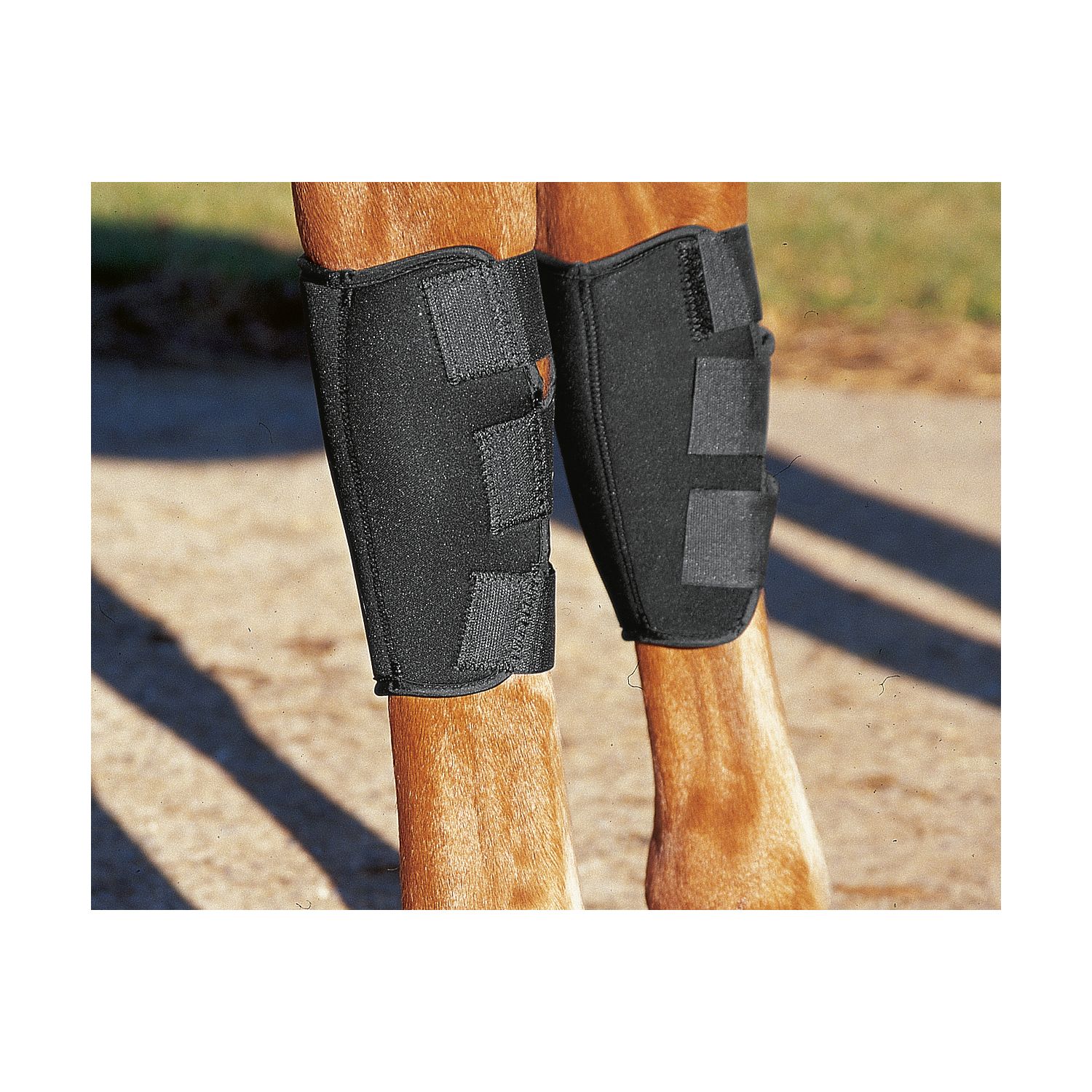 PROTECT by Horse-Friends Hippopren-Gelenkschützer für Vorderbeine  - schwarz